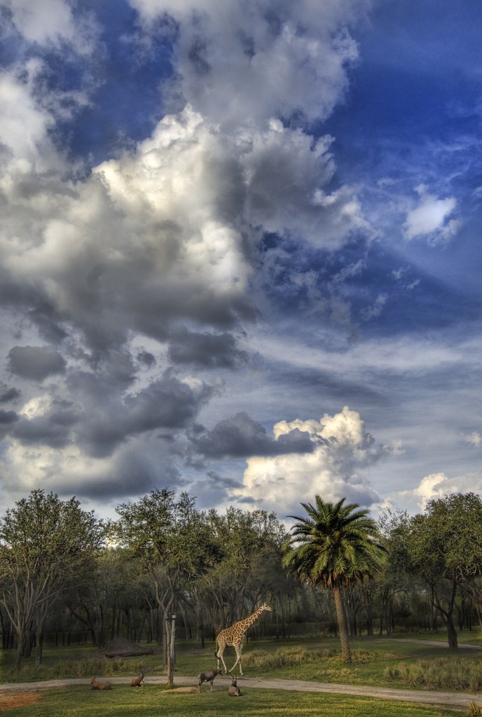 Outstanding Nature Photographs You Really Like Outstanding Nature Photographs 0 Outstanding Nature Photographs You Really Like