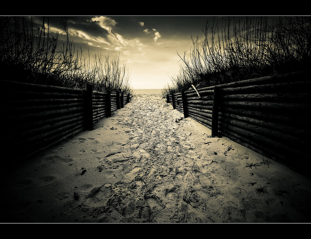 Photography by Pawel Lapinski Pawel Lapinski5 Photography by Pawel Lapinski