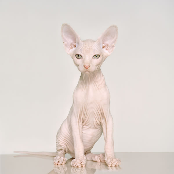 Photography by Petrina Hicks Petrina Hicks5 Photography by Petrina Hicks