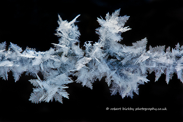 Robert Birkby Photography by Robert Birkby