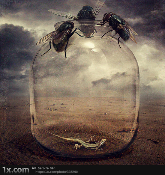 Seriously Artworks 5 35 Seriously Creative Examples of Digital Artworks