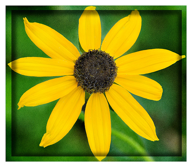 Abstract Photography by Tim Jones Tim Jones5 Abstract Photography by Tim Jones
