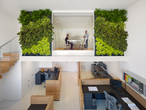 San Francisco Office Interior Vertical Garden San Francisco Office Interior Vertical Garden
