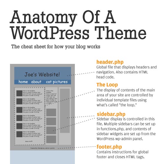 anatomy wordpress themes web The Anatomy of a WordPress theme [Infographic]