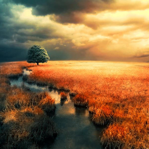 Awesome Photo Manipulation Art Awesome Photo Manipulation Art