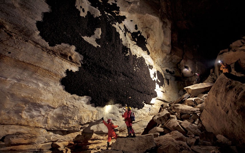 bat cave 2273586k Tennessee Batcave