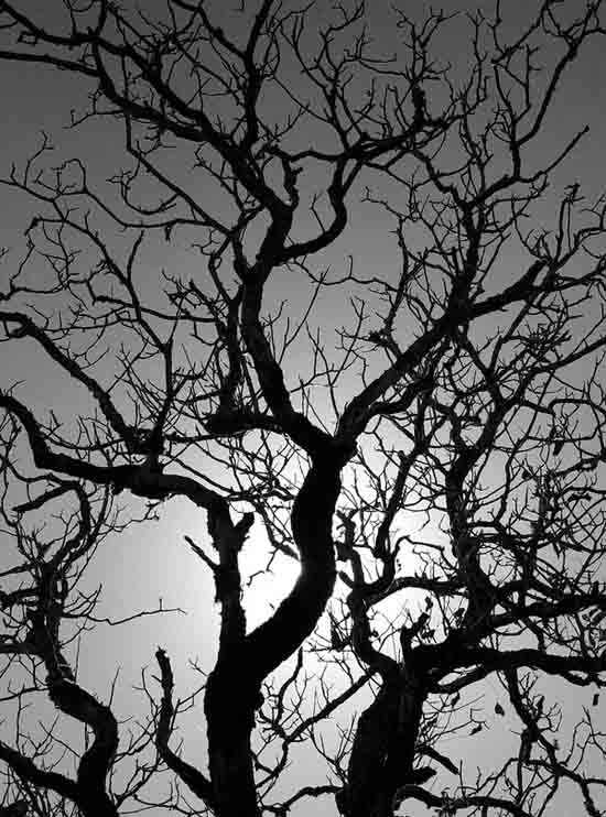 40 Stunning Black and White Photography black white 1 40 Stunning Black and White Photography