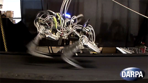 Robotic Cheetah Sets Speed Record for Legged Robots (VIDEO) cheeta robot darpa 2 Robotic Cheetah Sets Speed Record for Legged Robots (VIDEO)