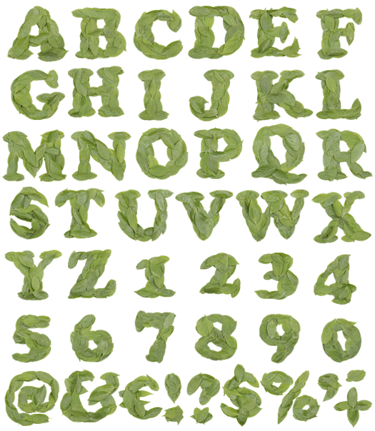 cooper leaf preview Cooper leaf font.