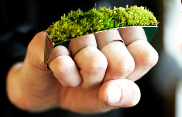  Growing Jewelry a collection of rings with real plants