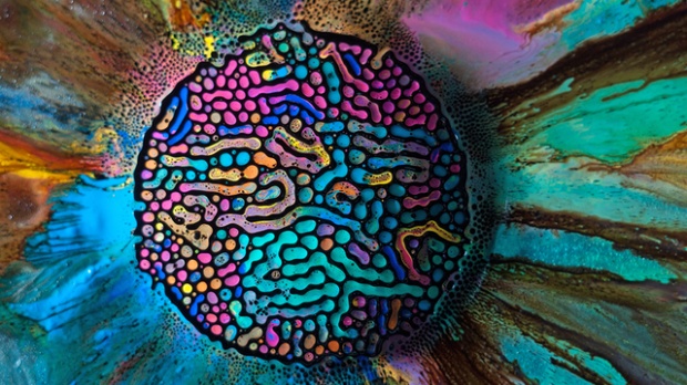 Ferrofluids Go Next Level Technicolor i1a121 Ferrofluids Go Next Level Technicolor