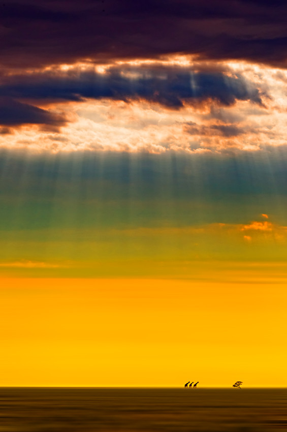 i1a4 Amazing nature photos #3