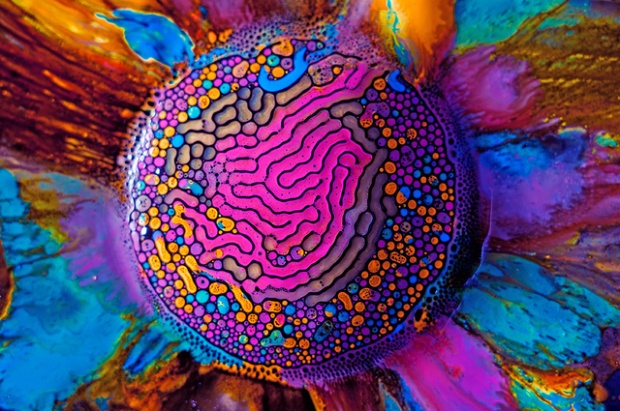 Ferrofluids Go Next Level Technicolor i1b114 Ferrofluids Go Next Level Technicolor
