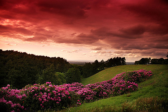 i1b123 Spring Nature Photography