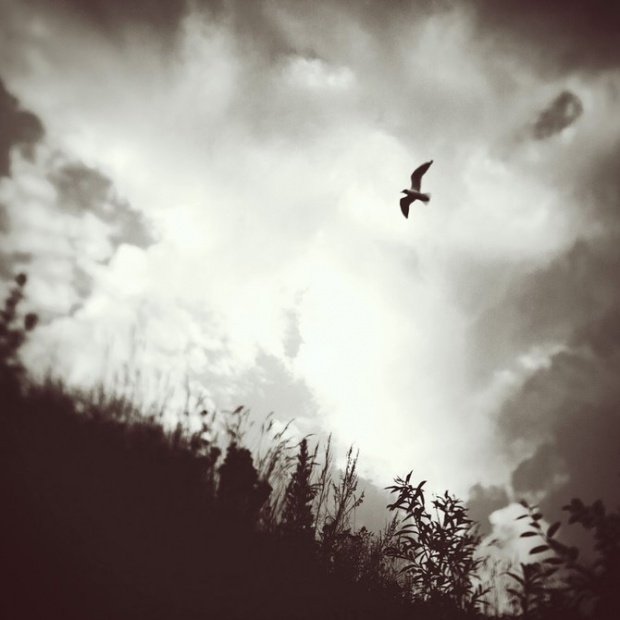 i1b67 My Shots 2011