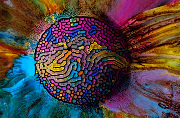 Ferrofluids Go Next Level Technicolor i1c116 Ferrofluids Go Next Level Technicolor