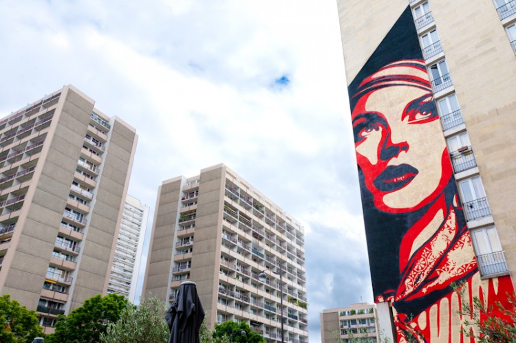img 55372 750x499 Shepard Fairey OBEY: Rise Above Rebel