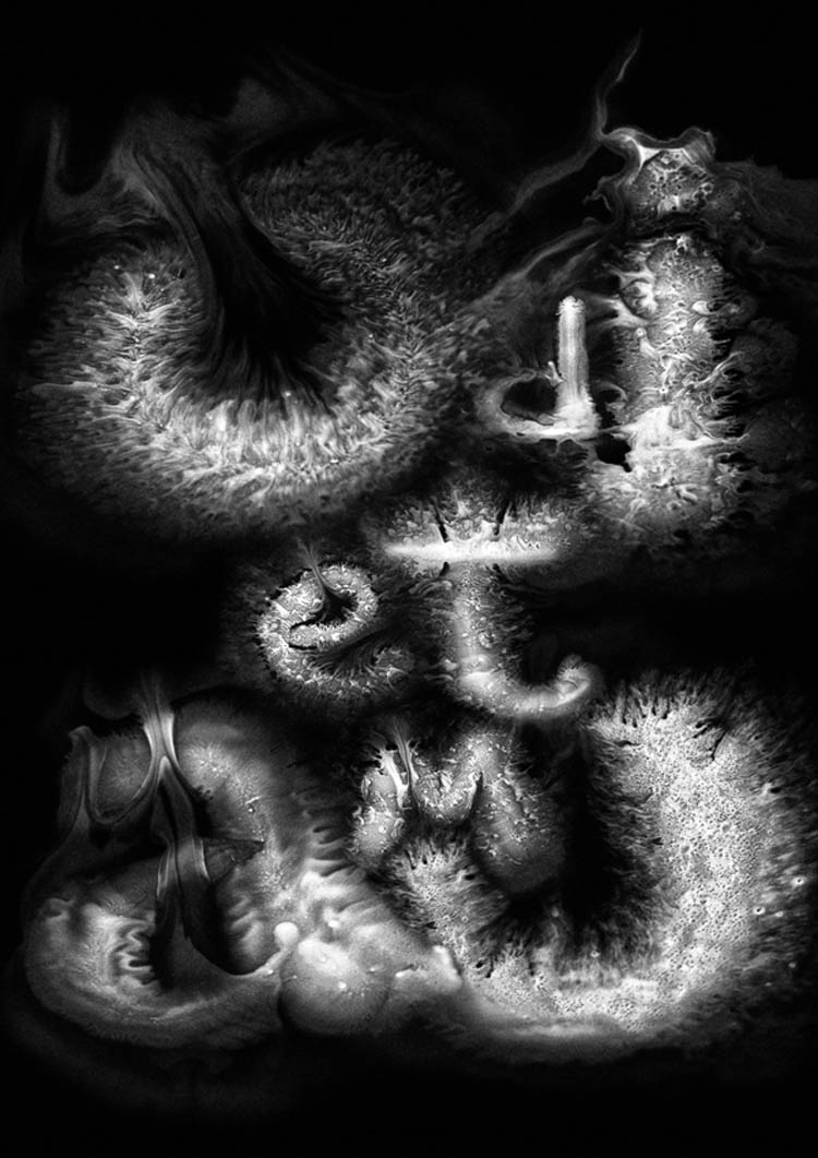 liquid Animation by Ruslan Khasanov