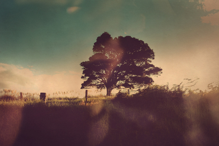 North by Cally Whitham north1 North by Cally Whitham