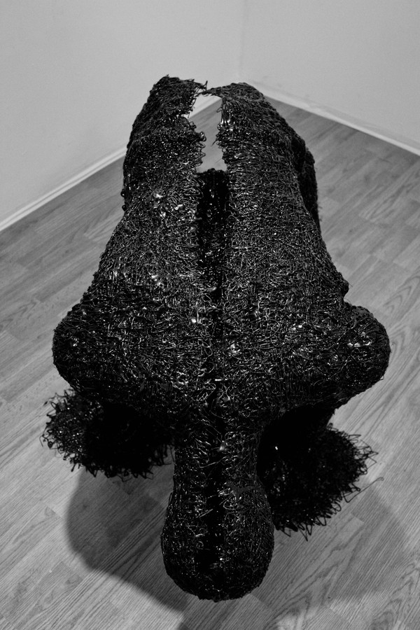 The Shell of a Man Trying to Reach Perfection rookfloroshell4 The Shell of a Man Trying to Reach Perfection