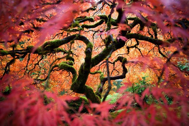 ufunk best of National Geographic Photography Contest 2012 341 45 beautiful pictures from the National Geographic’s Photography Contest 2012