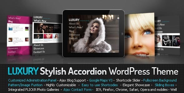 0138 Luxury Stylish Accordion Wordpress Theme