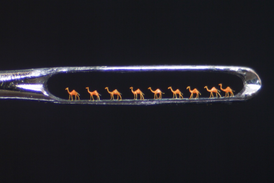 The micro sculptor Willard Wigan The micro sculptor Willard Wigan