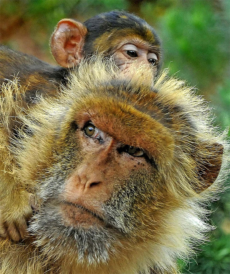 18 Photo of the Day: The Look
