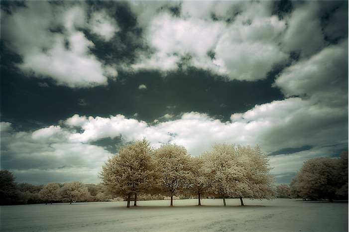 26 Incredible Examples of Infrared Photography 26Infrared Photography 1 26 Incredible Examples of Infrared Photography