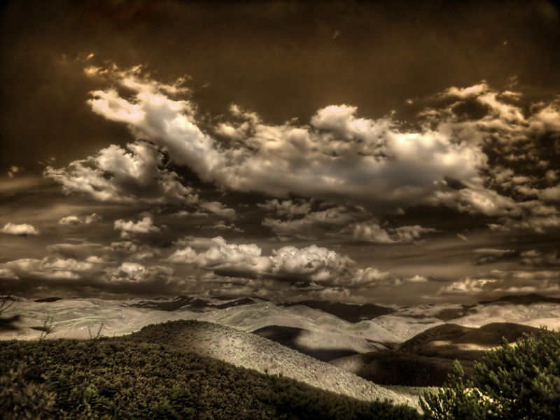 26 Incredible Examples of Infrared Photography 26Infrared Photography 9 26 Incredible Examples of Infrared Photography