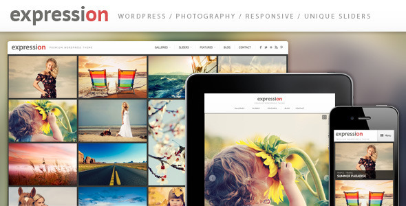 30+ Pinterest Like wordpress Themes 30+ Pinterest Like wordpress Themes