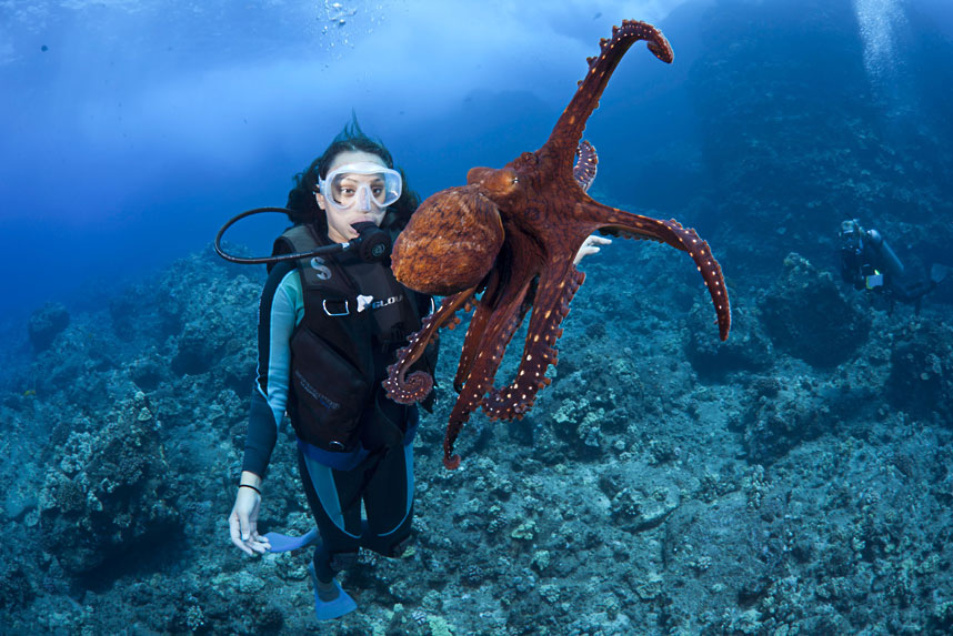 David Fleethams underwater photographs of life in the worlds oceans 4104 David Fleethams underwater photographs of life in the worlds oceans