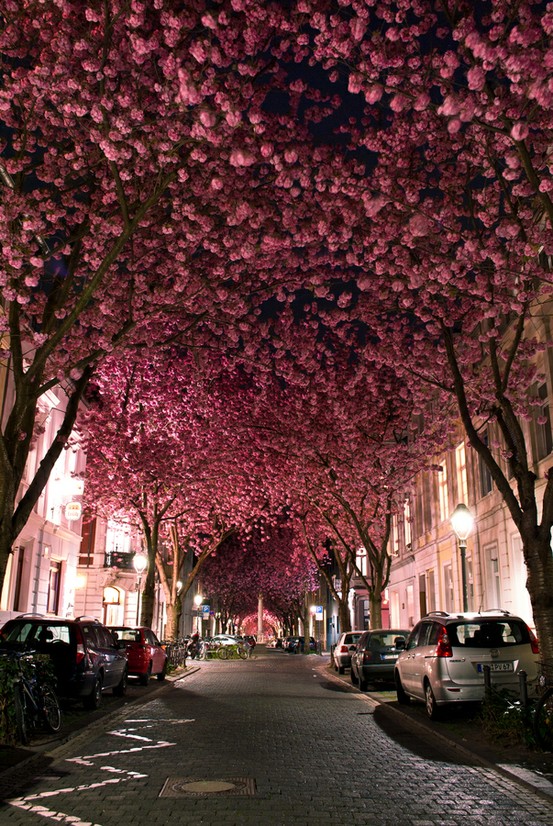 50+ Beautiful Photographs Found On Pinterest 50+ Beautiful Photographs 11 50+ Beautiful Photographs Found On Pinterest