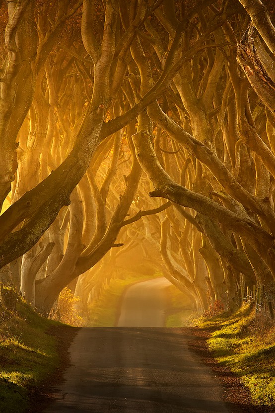 50+ Beautiful Photographs Found On Pinterest 50+ Beautiful Photographs 8 50+ Beautiful Photographs Found On Pinterest