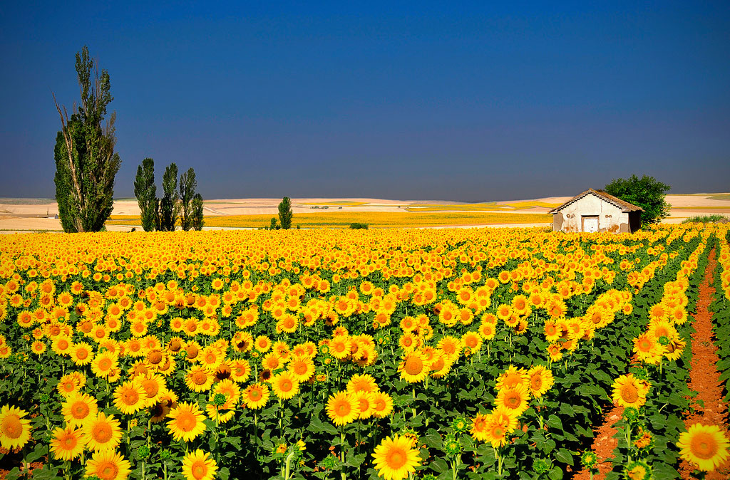 50 Mind Blowing Examples of Landscape Photography 50 Landscape Photography 1 50 Mind Blowing Examples of Landscape Photography