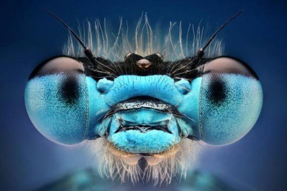 Digital art selected for the Daily Inspiration #1209