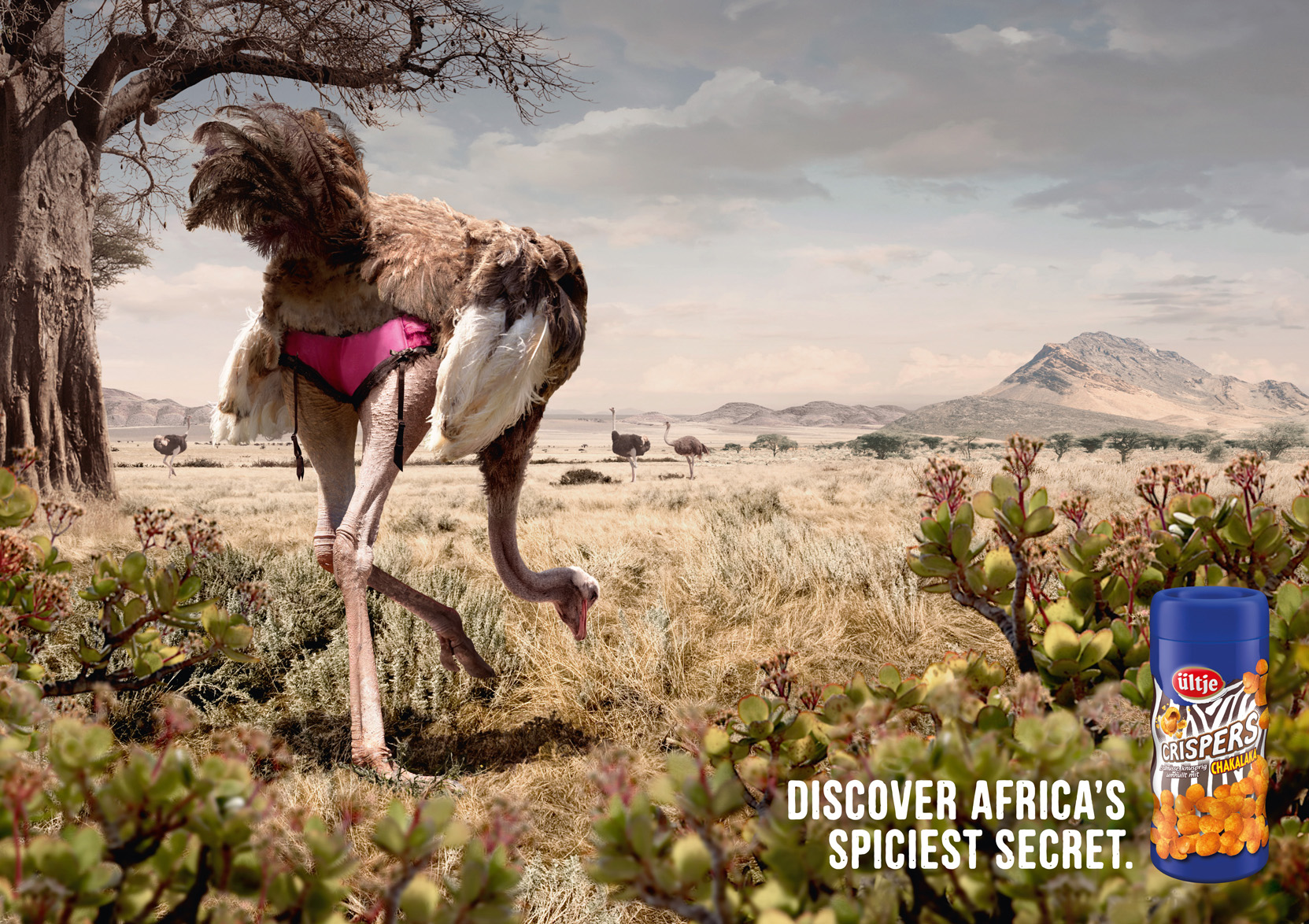 Animals in Advertising 2 40 Cuddly Animals in Creative Advertising Campaigns