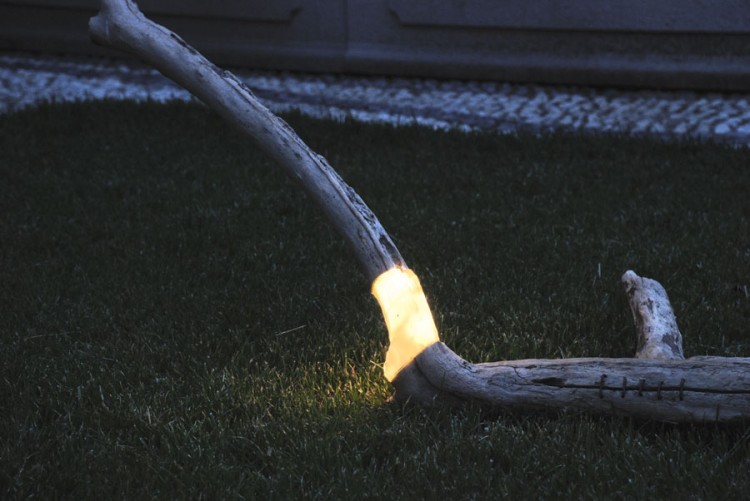 Light from stumps! Brecce 72 750x501 Light from stumps!