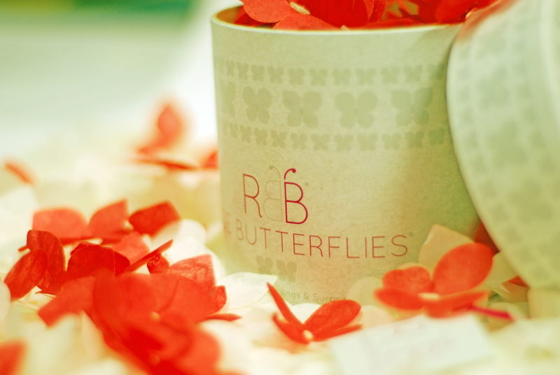 RICE BUTTERFLIES for Your Wedding Rice Butterflies Press Photo 64 RICE BUTTERFLIES for Your Wedding