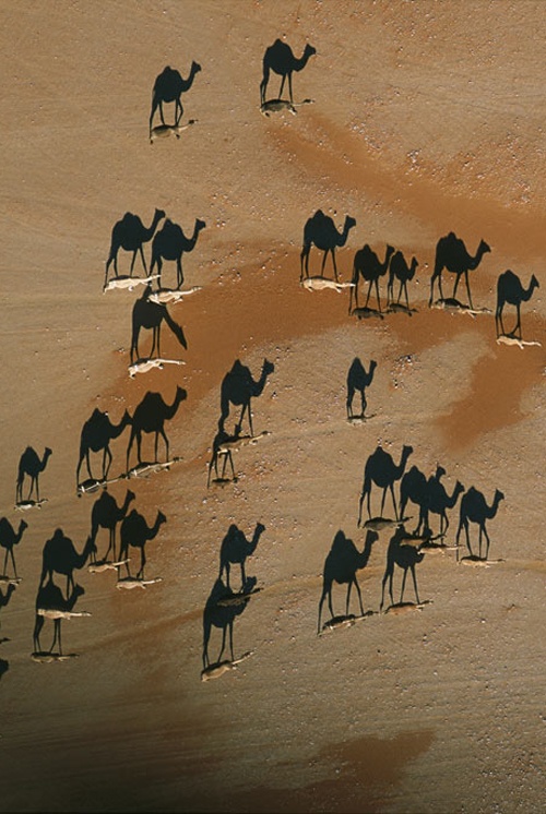 Beautiful Shadow Effect Wallpapers Shadow Effect Wallpapers 1 Beautiful Shadow Effect Wallpapers
