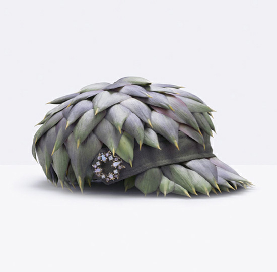 Tasty Fashion Accessories 3 Beautiful Tasty Fashion Accessories