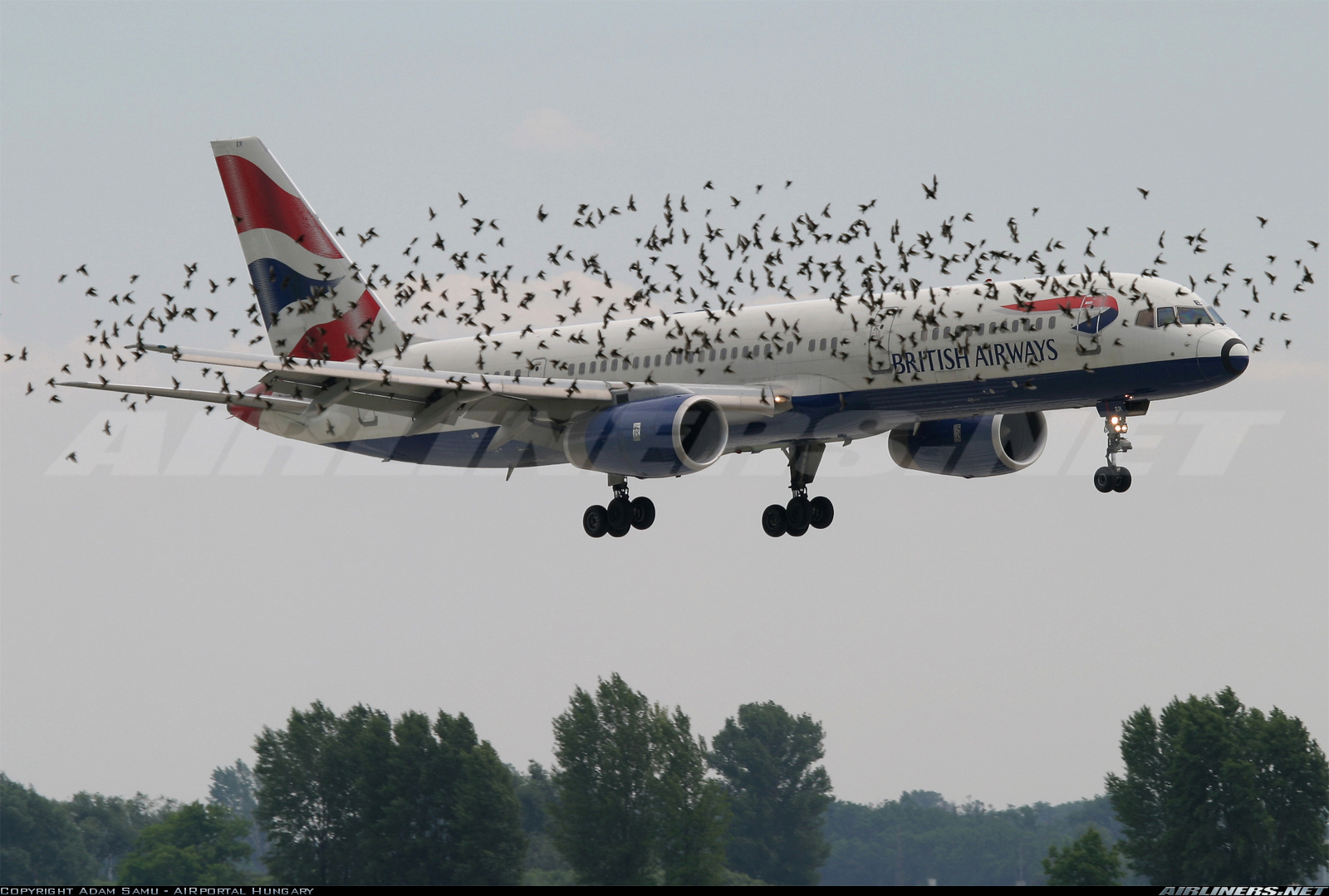 30 Strangest Planes Pictures From Around The World aircrafts birds take off planes desktop wallpaper 30 Strangest Planes Pictures From Around The World