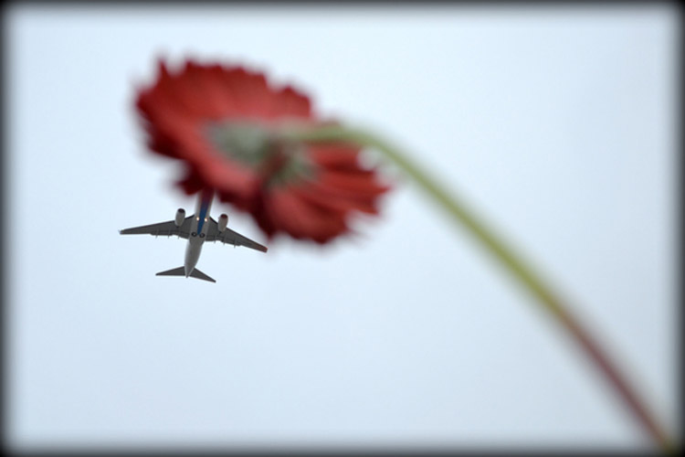 Photography by Pablo Ferrari airplanes1 Photography by Pablo Ferrari