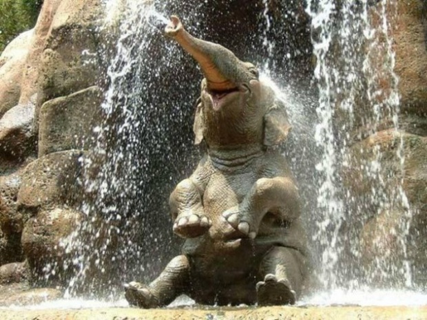 Happy Animals animal 31 Happy Animals