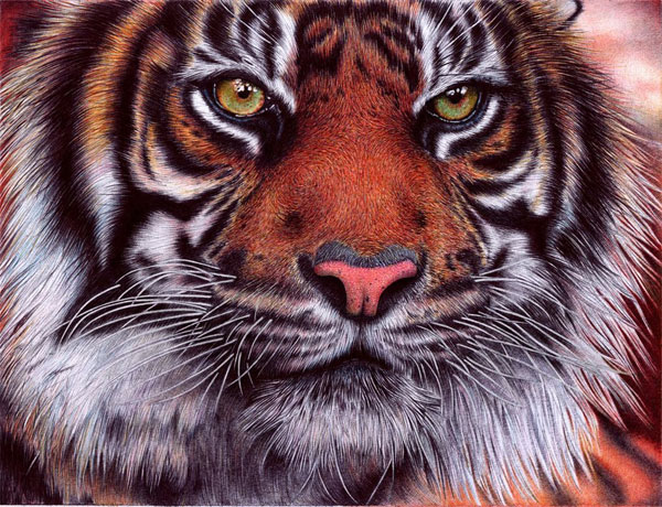 Realistic Ballpoint Pen Drawings | MachoArts ballpoint pen drawing 3 Realistic Ballpoint Pen Drawings | MachoArts