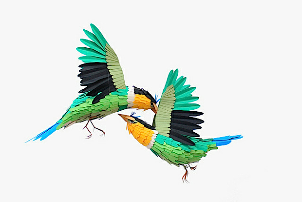 Diana Beltran Herrera bird 5 Diana Beltran Herrera
