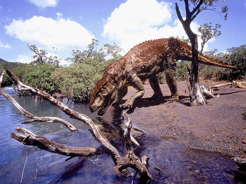 20 Dinosaurs Jurassic Period Lost Wallpapers dyba 4 20 Dinosaurs Jurassic Period Lost Wallpapers