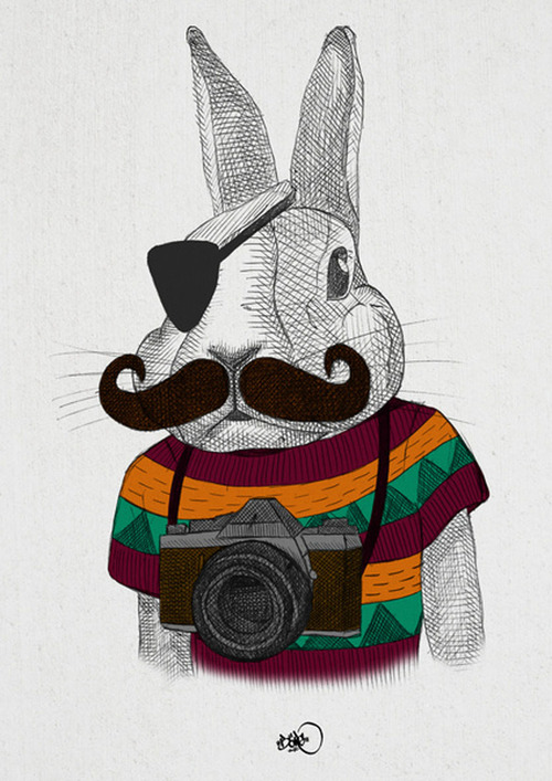 Hip Animals Hip Animals
