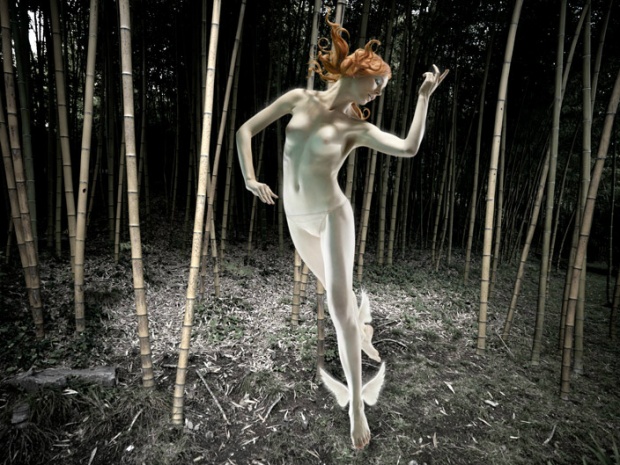 i1a115 Photo Manipulations by Christophe Gilbert no. 1