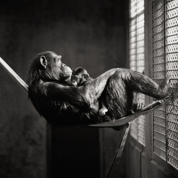 Black and white photography from Brian Day i1a83 Black and white photography from Brian Day
